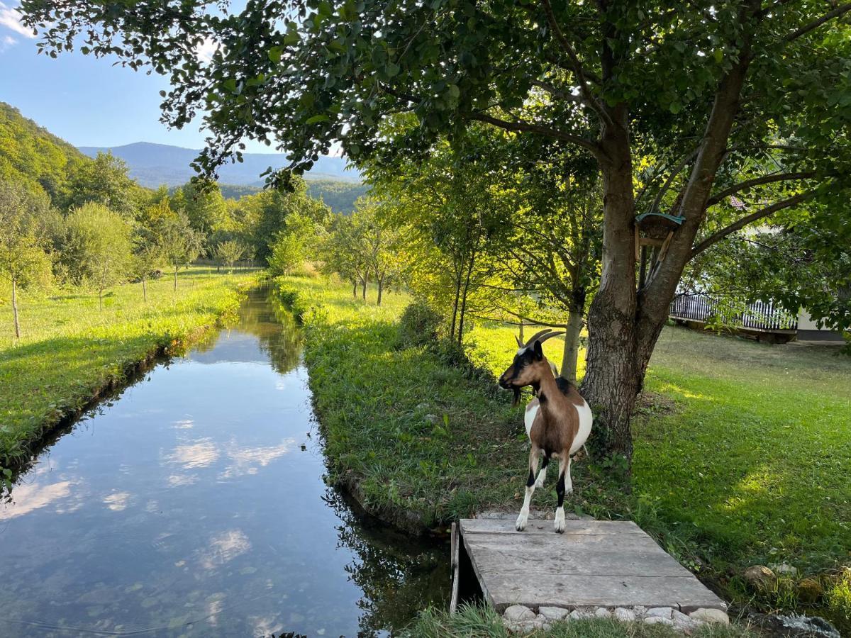 Soko Holiday Home Bihac Bihać Exterior foto